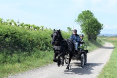 TREC_2022
