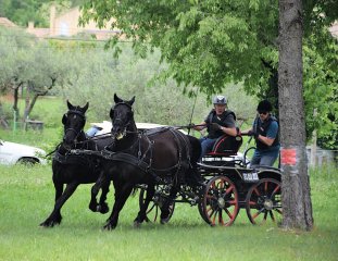 DSC_0938-2