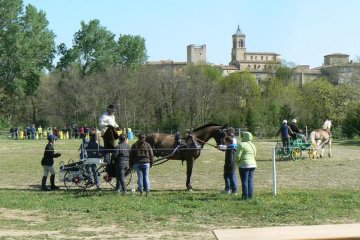stephane_tresques_2014