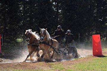 DSC_0304_1200