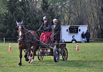 DSC_0512_1200
