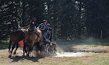 DSC_0599_1200