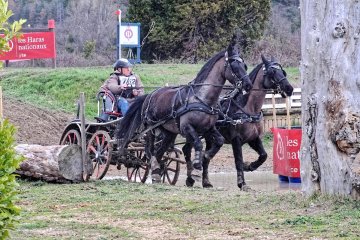 DSCF5695_1200
