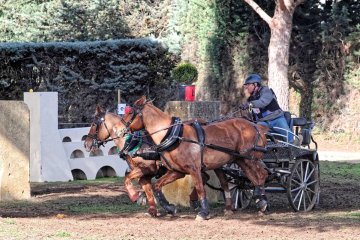DSCF5736_1200