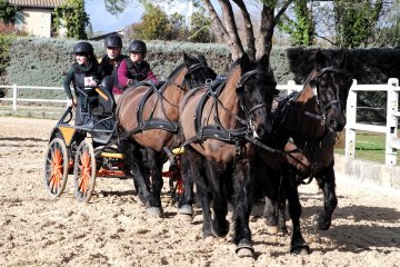 DSCF5779_1200