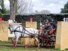 DSCF5662_1200