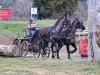 DSCF5695_1200