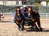 DSCF5720_1200
