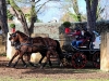 DSCF5726_1200