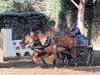 DSCF5736_1200