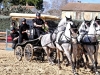 DSCF5761_1200