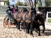 DSCF5779_1200