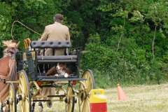 Vérargues Tradition 2009